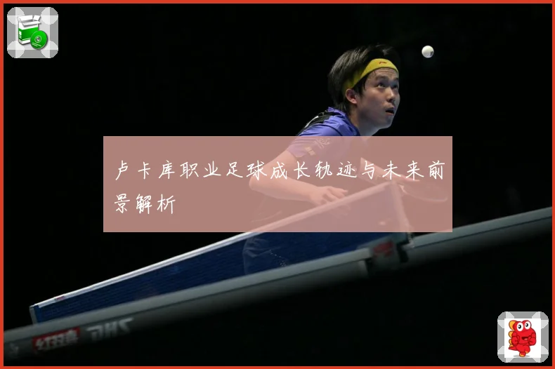卢卡库职业足球成长轨迹与未来前景解析