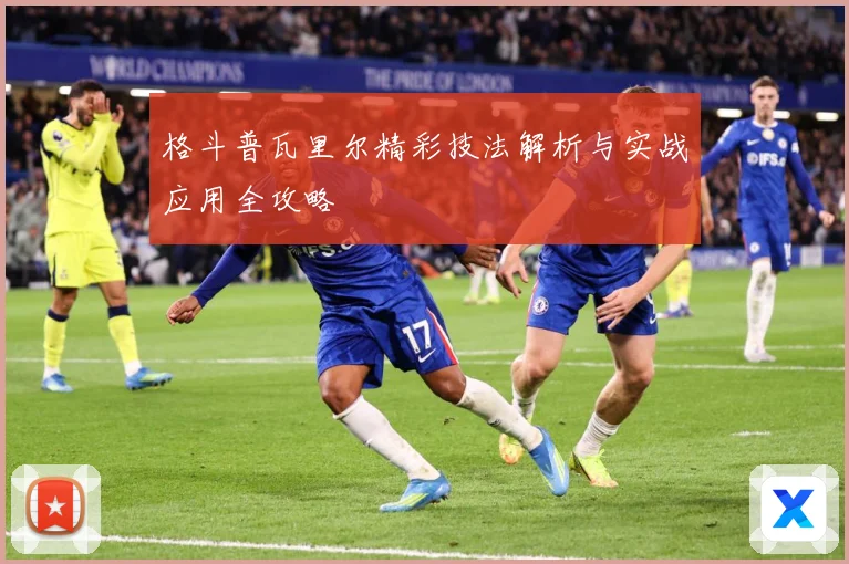 格斗普瓦里尔精彩技法解析与实战应用全攻略