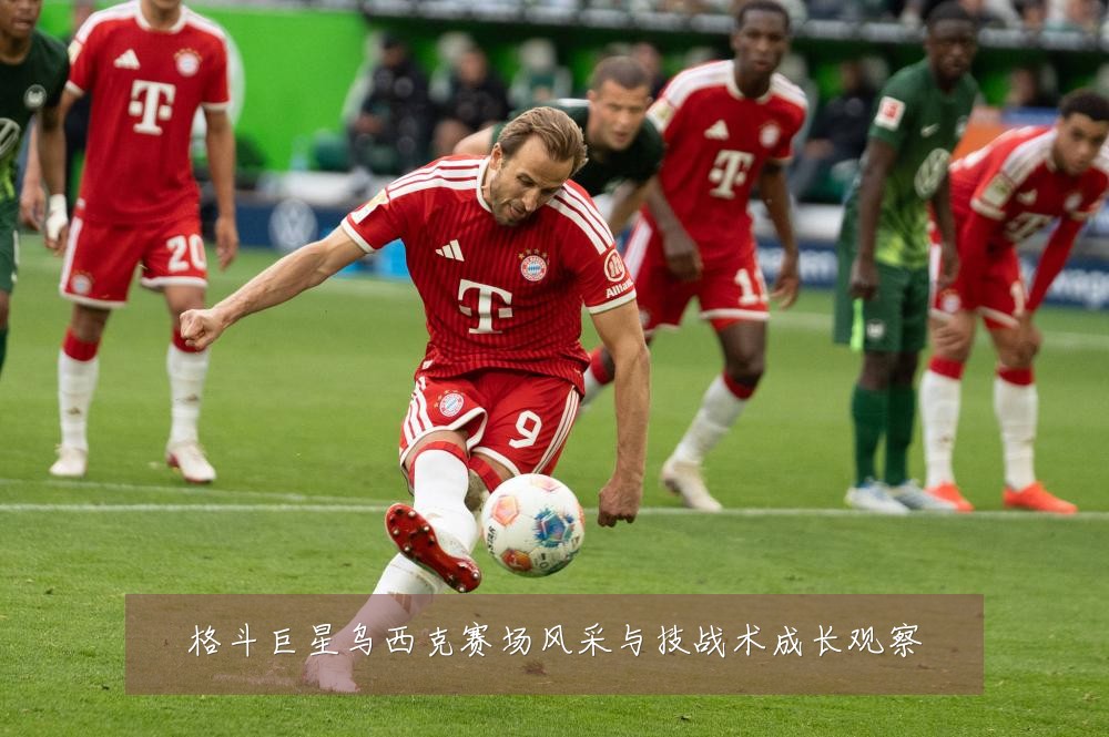 格斗巨星乌西克赛场风采与技战术成长观察
